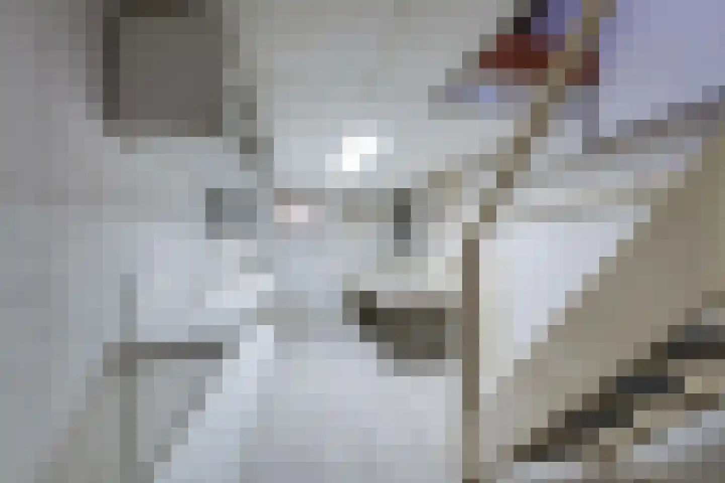 Weverstraat 5 Susteren thumbnail 24