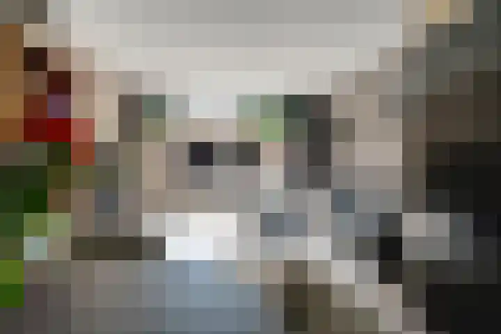 Weverstraat 50 Duiven thumbnail 18