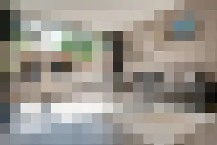 Weverstraat 50 Duiven thumbnail 24