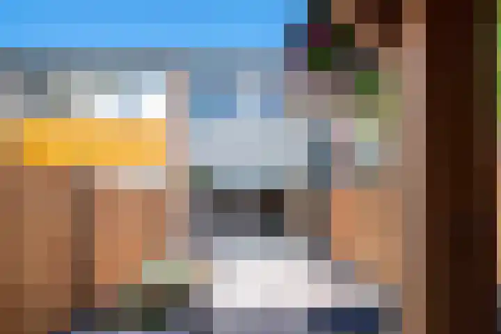 Weverstraat 50 Duiven thumbnail 33