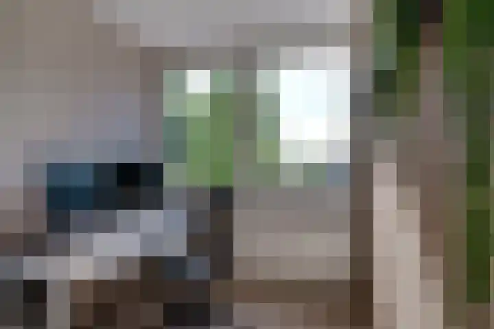 Weverstraat 50 Duiven thumbnail 41