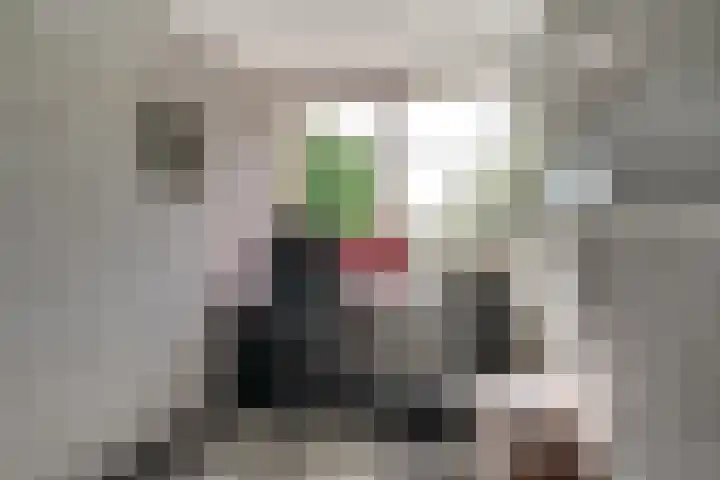 Weverstraat 50 Duiven thumbnail 43