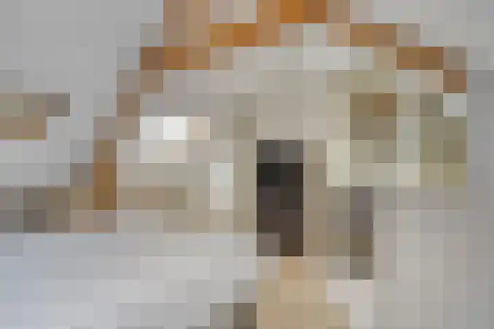 Weverstraat 51 Tilburg thumbnail 25