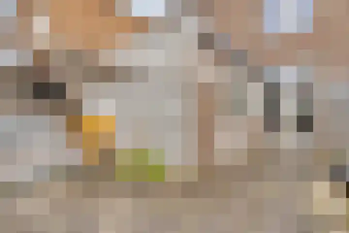 Weverstraat 51 Tilburg thumbnail 29