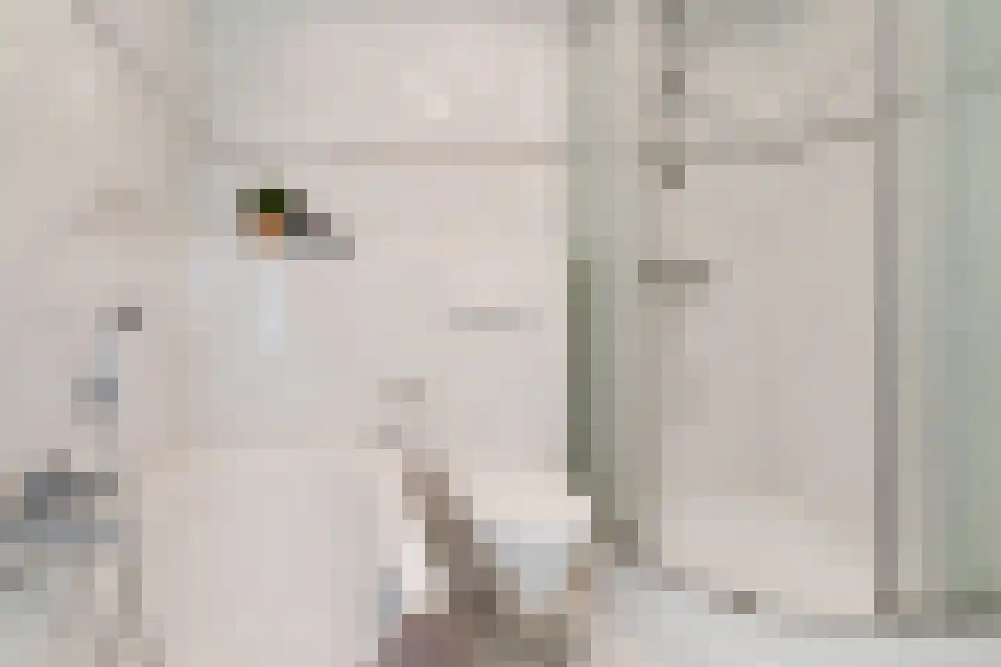 Weverstraat 53 Overdinkel thumbnail 34