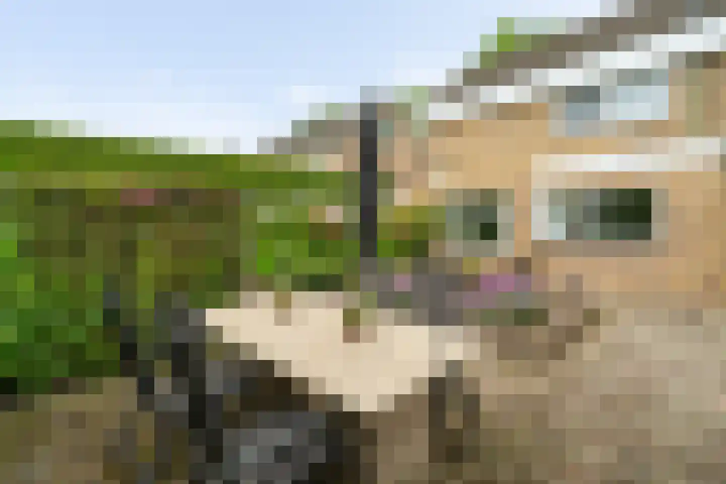 Weverstraat 53 Overdinkel thumbnail 4