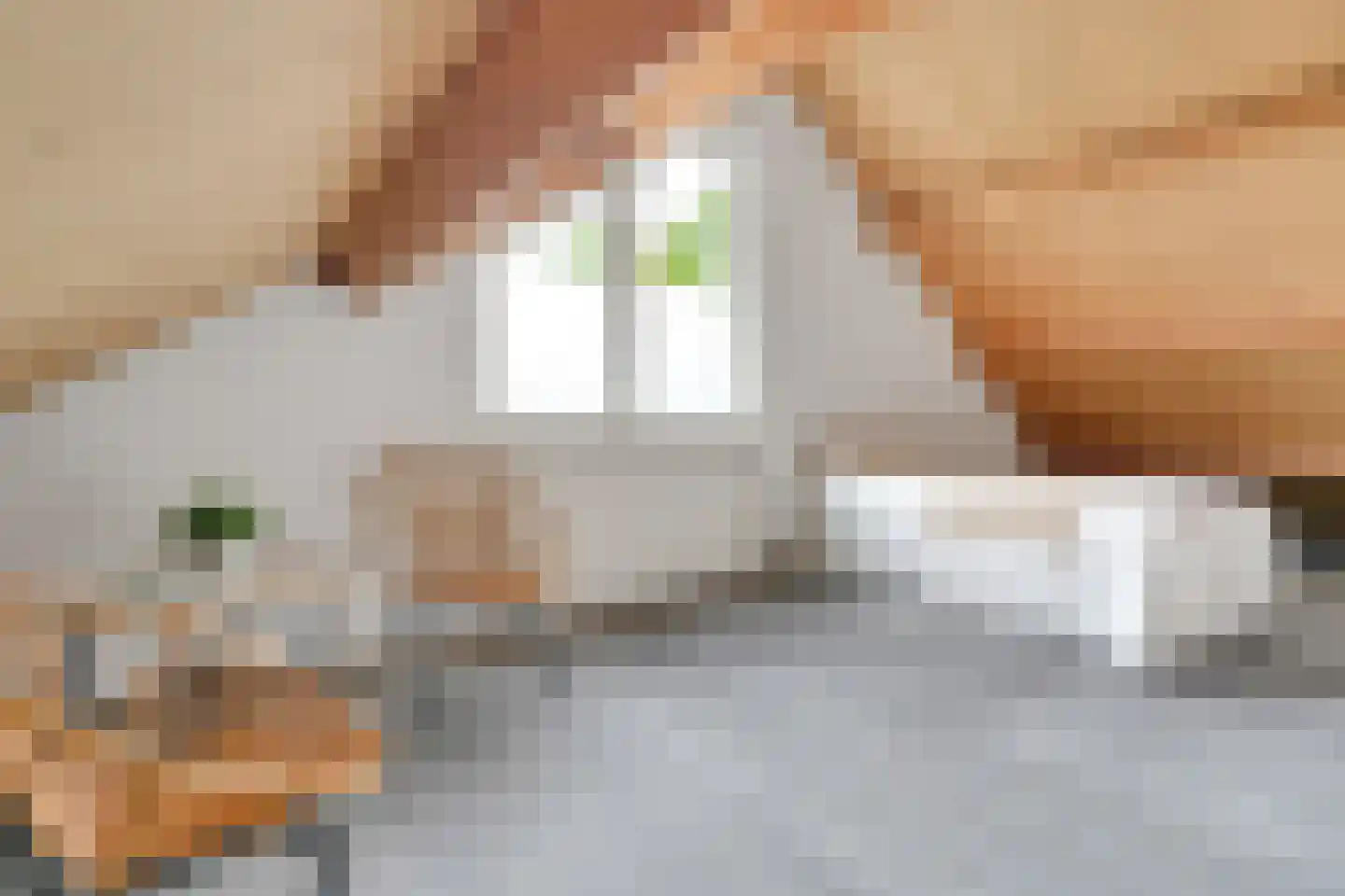 Weverstraat 53 Overdinkel thumbnail 42