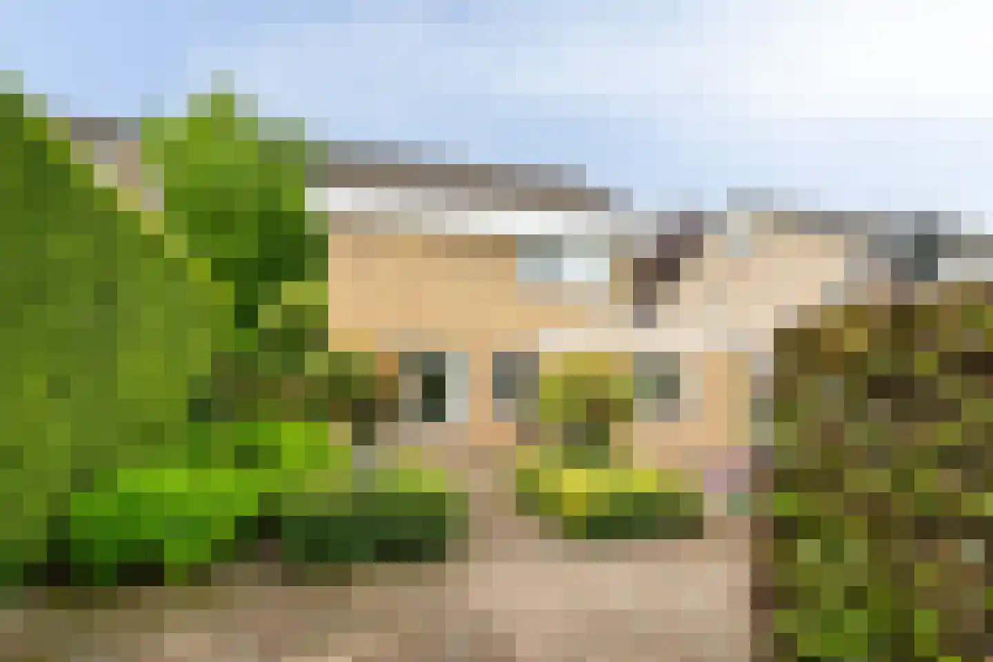 Weverstraat 53 Overdinkel thumbnail 45