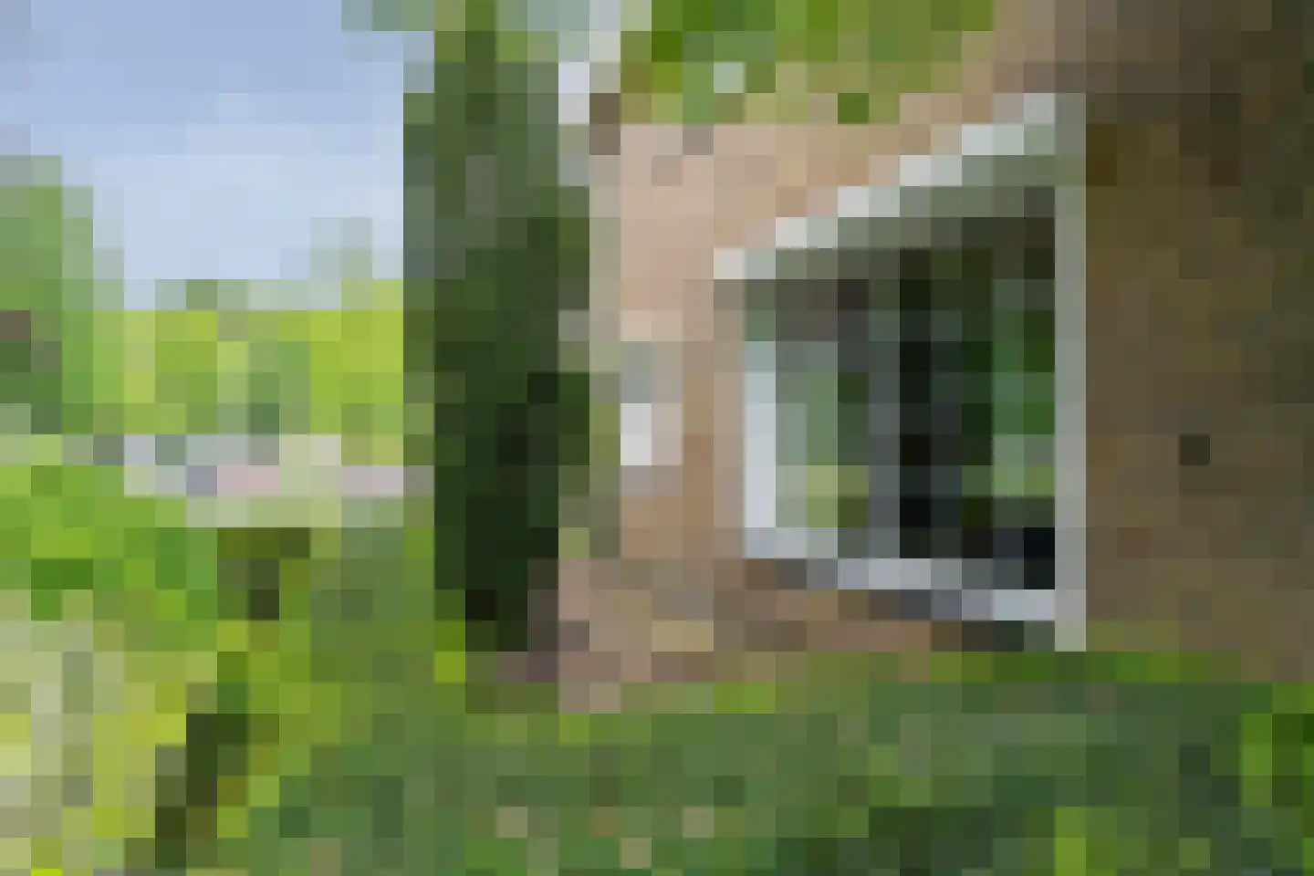 Weverstraat 53 Overdinkel thumbnail 6