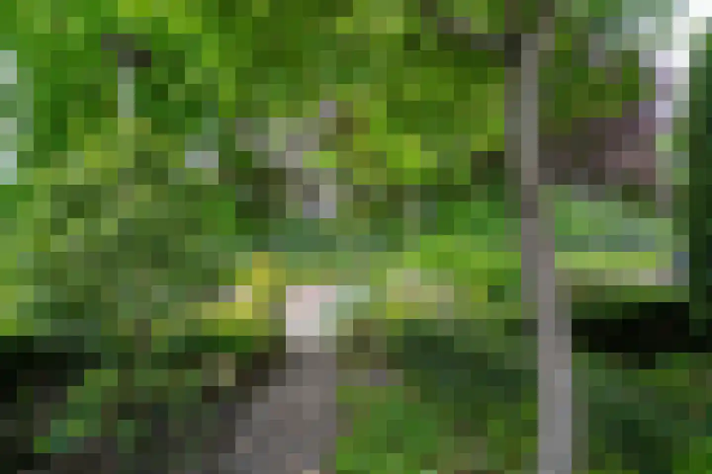 Weverstraat 53 Overdinkel thumbnail 7