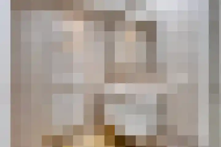 Weverstraat 55 Kekerdom thumbnail 20