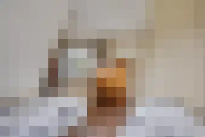 Weverstraat 55 Kekerdom thumbnail 33
