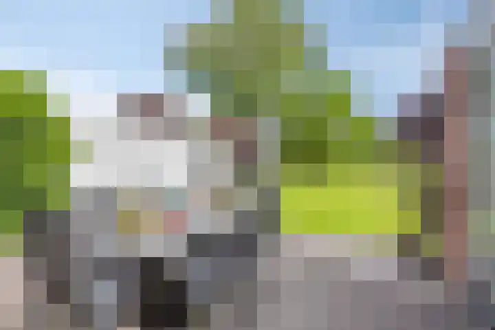 Weverstraat 55 Kekerdom thumbnail 36