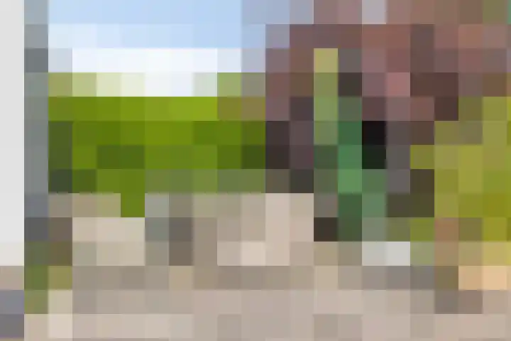 Weverstraat 55 Kekerdom thumbnail 38