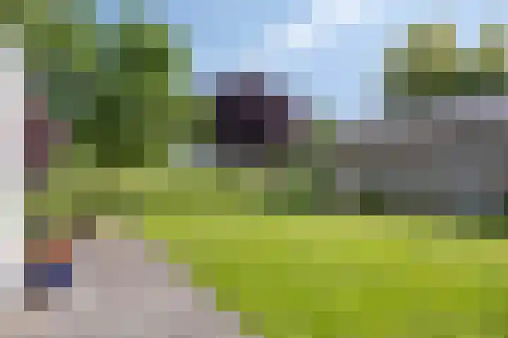 Weverstraat 55 Kekerdom thumbnail 40