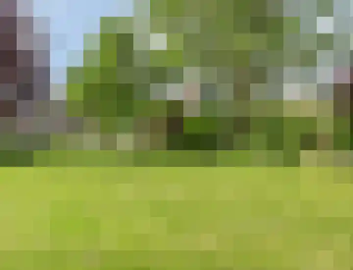 Weverstraat 55 Kekerdom thumbnail 41
