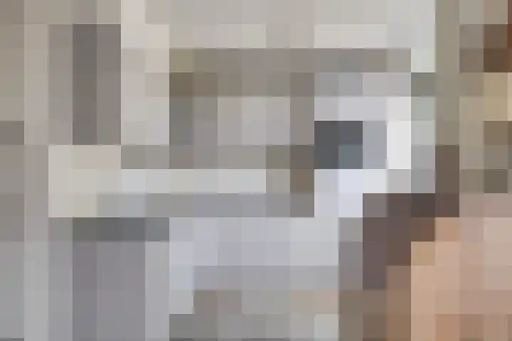 Weverstraat 55 Kekerdom thumbnail 8