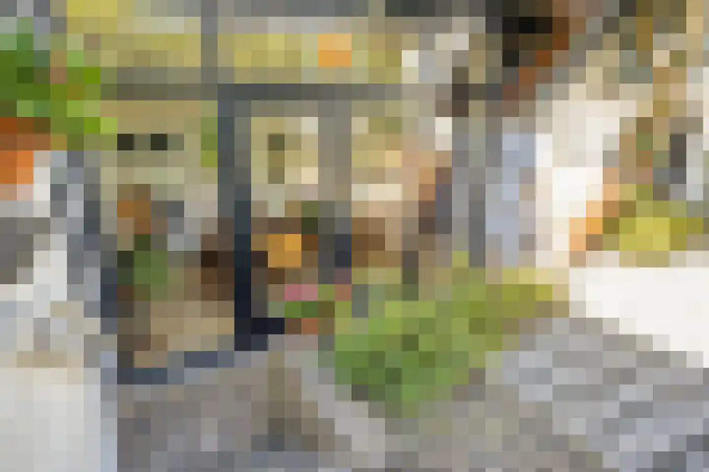 Weverstraat 6 Oosterbeek thumbnail 38