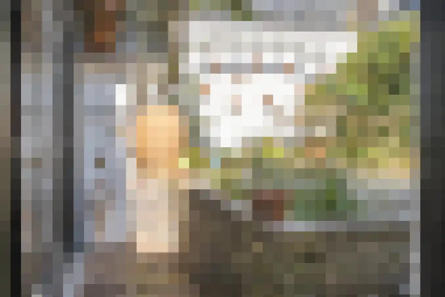 Weverstraat 6 Oosterbeek thumbnail 9