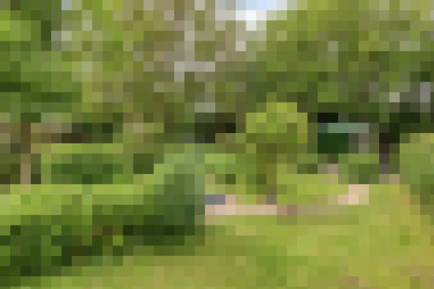 Weverstraat 62 Kekerdom thumbnail 22