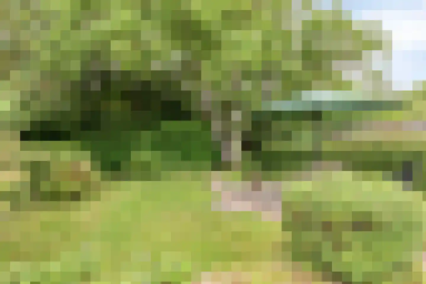 Weverstraat 62 Kekerdom thumbnail 23