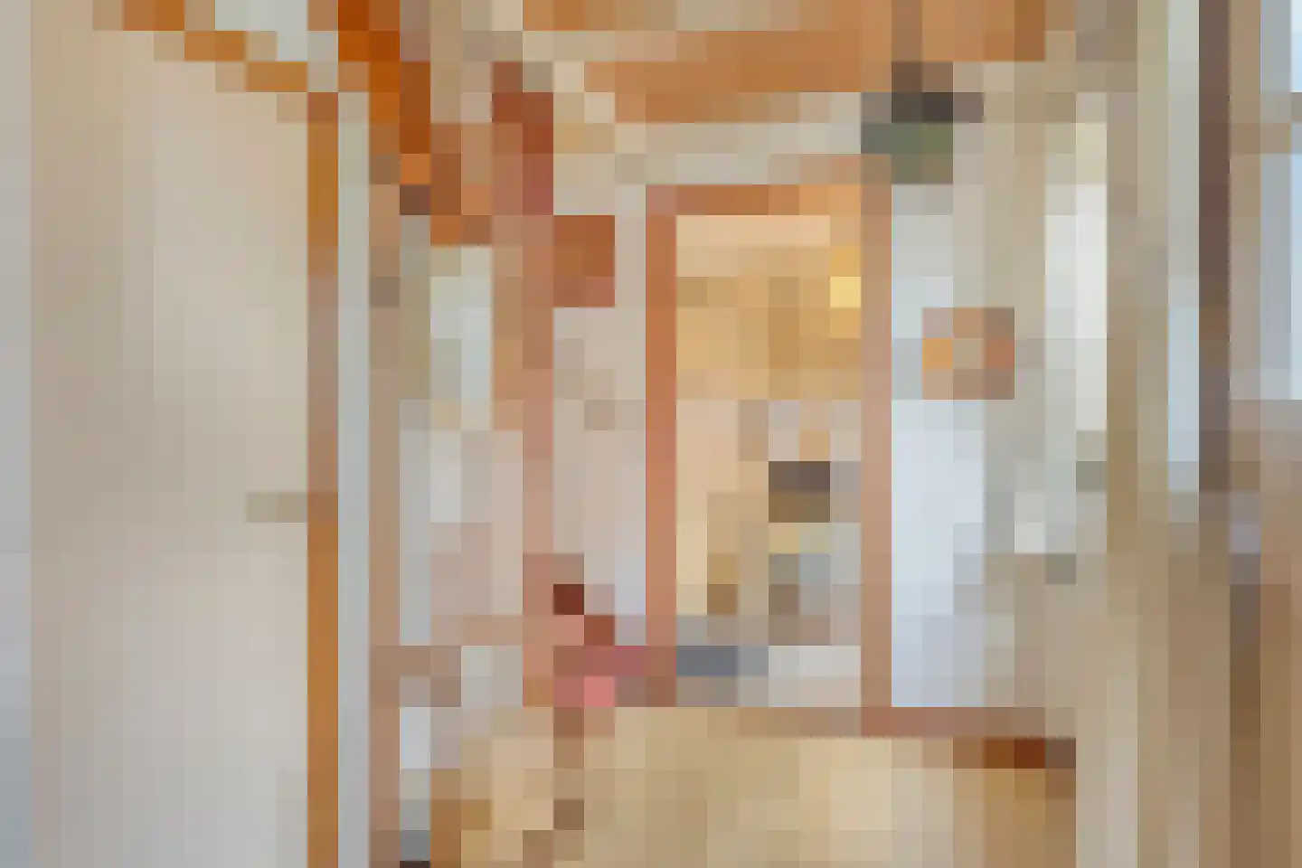 Weverstraat 62 Kekerdom thumbnail 4