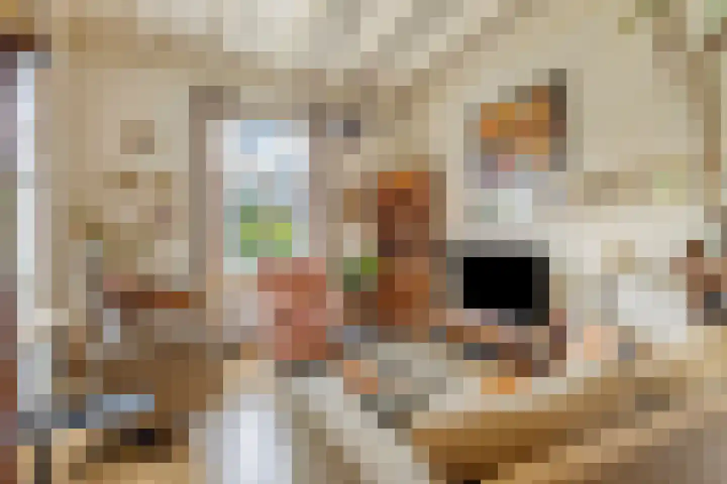 Weverstraat 62 Kekerdom thumbnail 8