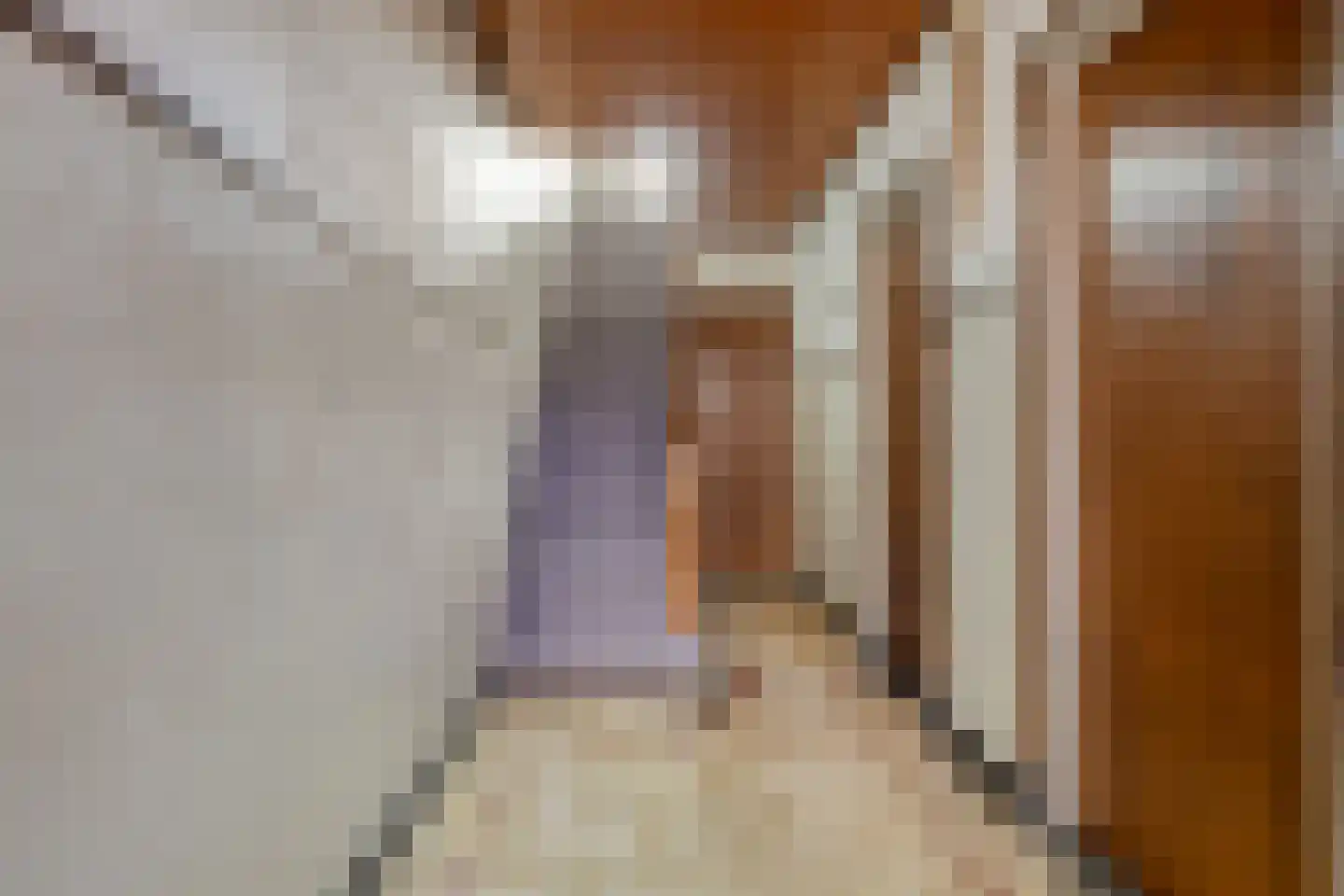 Weverstraat 62 Tilburg thumbnail 19