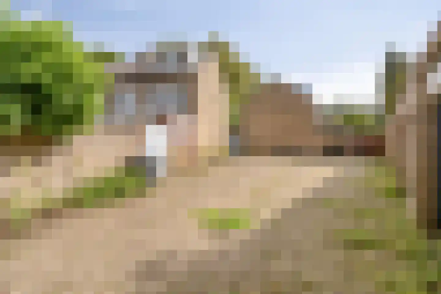 Weverstraat 62 Tilburg thumbnail 39