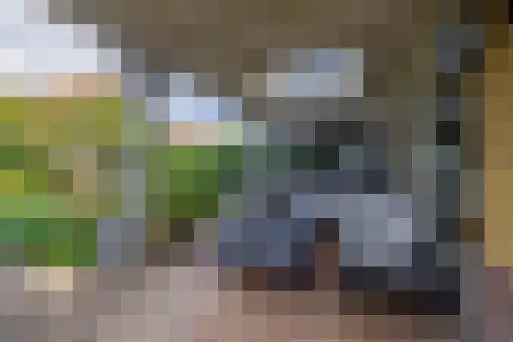 Weverstraat 64 Krommenie thumbnail 19
