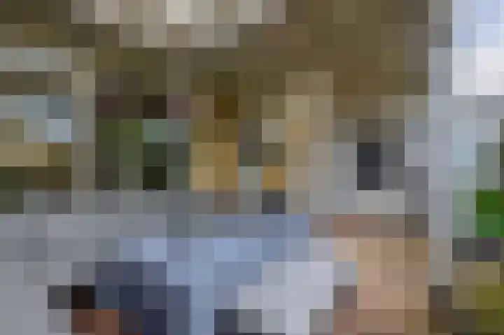 Weverstraat 64 Krommenie thumbnail 21