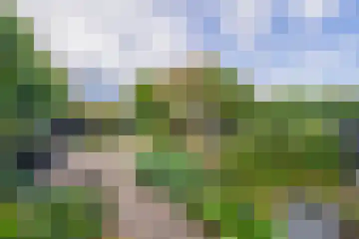 Weverstraat 64 Krommenie thumbnail 22