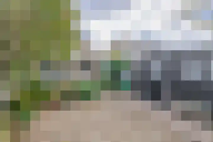Weverstraat 64 Krommenie thumbnail 23