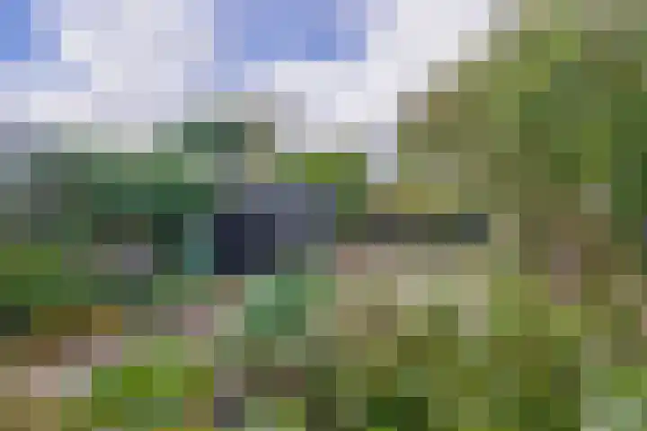 Weverstraat 64 Krommenie thumbnail 25