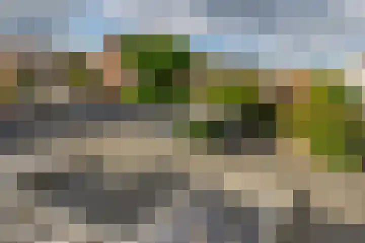 Weverstraat 64 Krommenie thumbnail 38