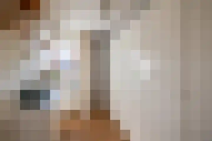 Weverstraat 64 Krommenie thumbnail 40