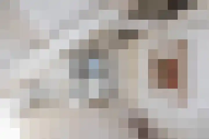 Weverstraat 64 Krommenie thumbnail 42