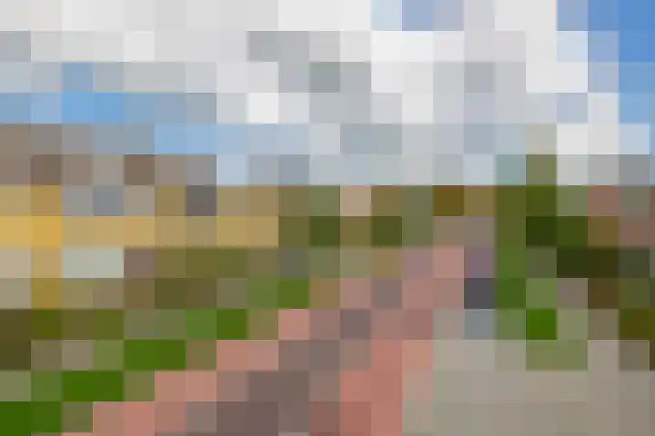 Weverstraat 64 Krommenie thumbnail 45