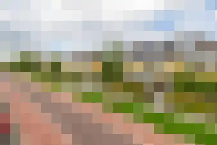 Weverstraat 64 Krommenie thumbnail 46