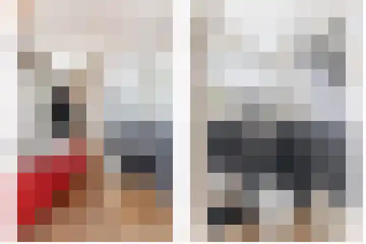 Weverstraat 64 Krommenie thumbnail 7