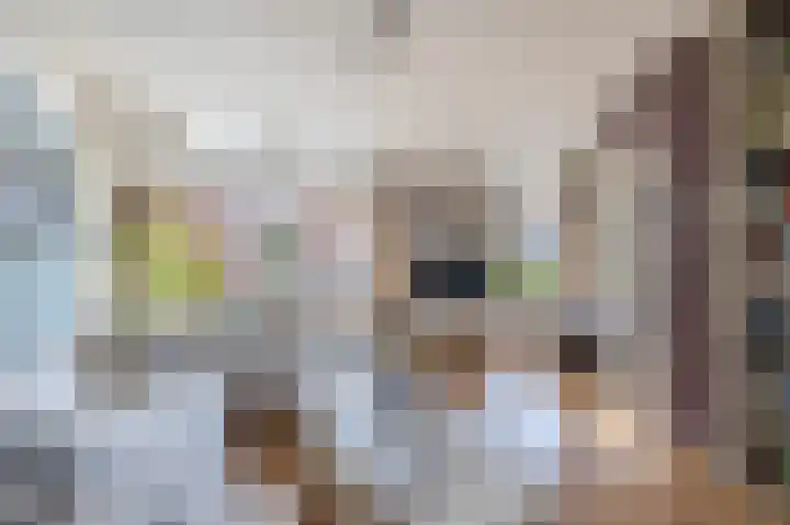 Weverstraat 64 Krommenie thumbnail 9
