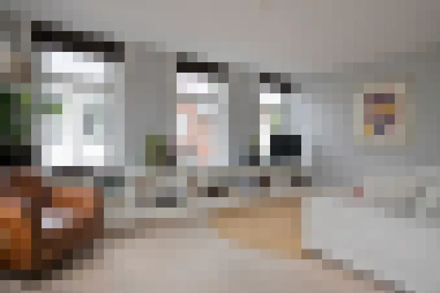 Weverstraat 68 Oosterbeek thumbnail 12