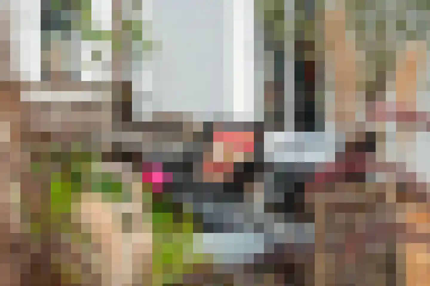 Weverstraat 68 Oosterbeek thumbnail 32