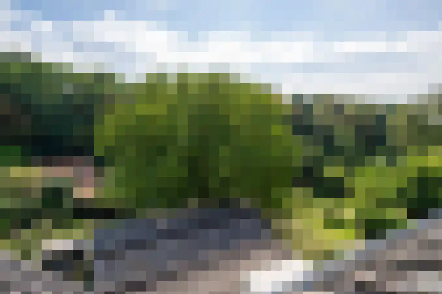 Weverstraat 68 Oosterbeek thumbnail 41