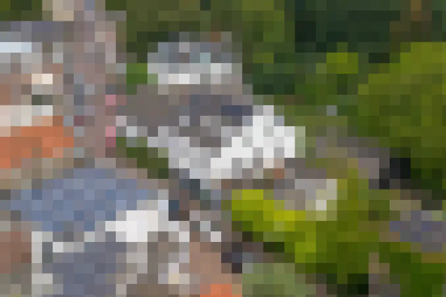 Weverstraat 68 Oosterbeek thumbnail 60