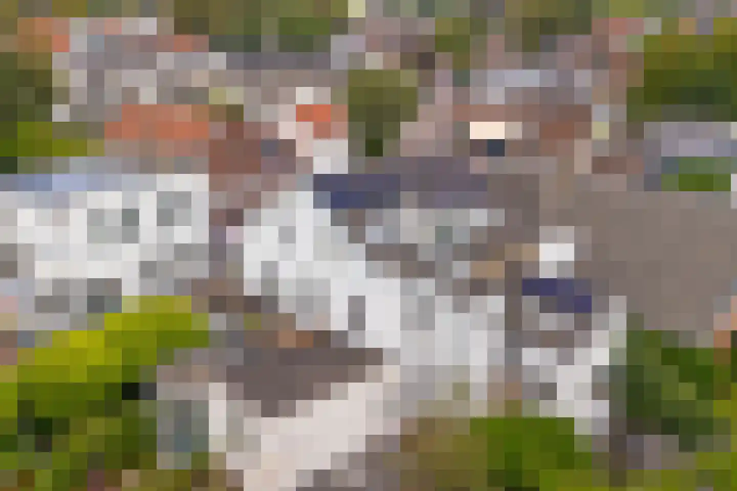 Weverstraat 68 Oosterbeek thumbnail 61