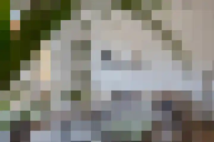 Weverstraat 7 Borculo thumbnail 6