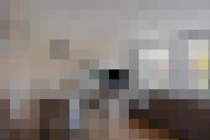 Weverstraat 7 Borculo thumbnail 7