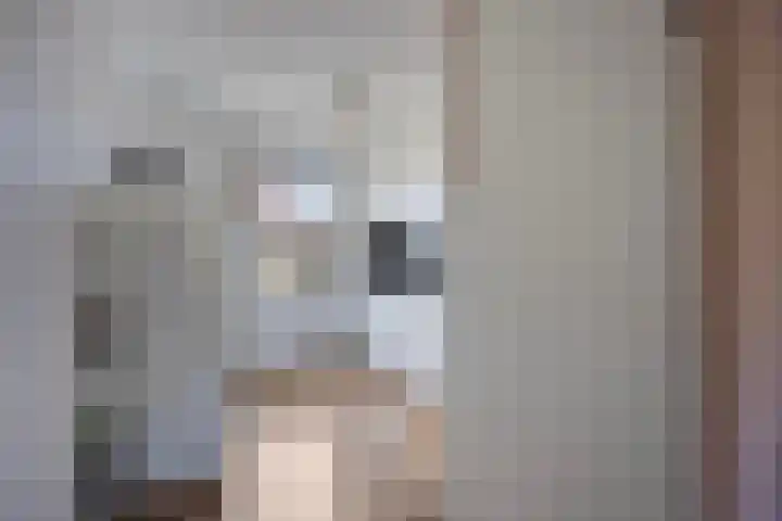 Weverstraat 7 Borculo thumbnail 8