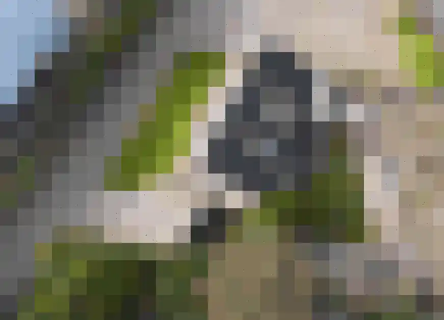 Weverstraat 7 Goirle thumbnail 13